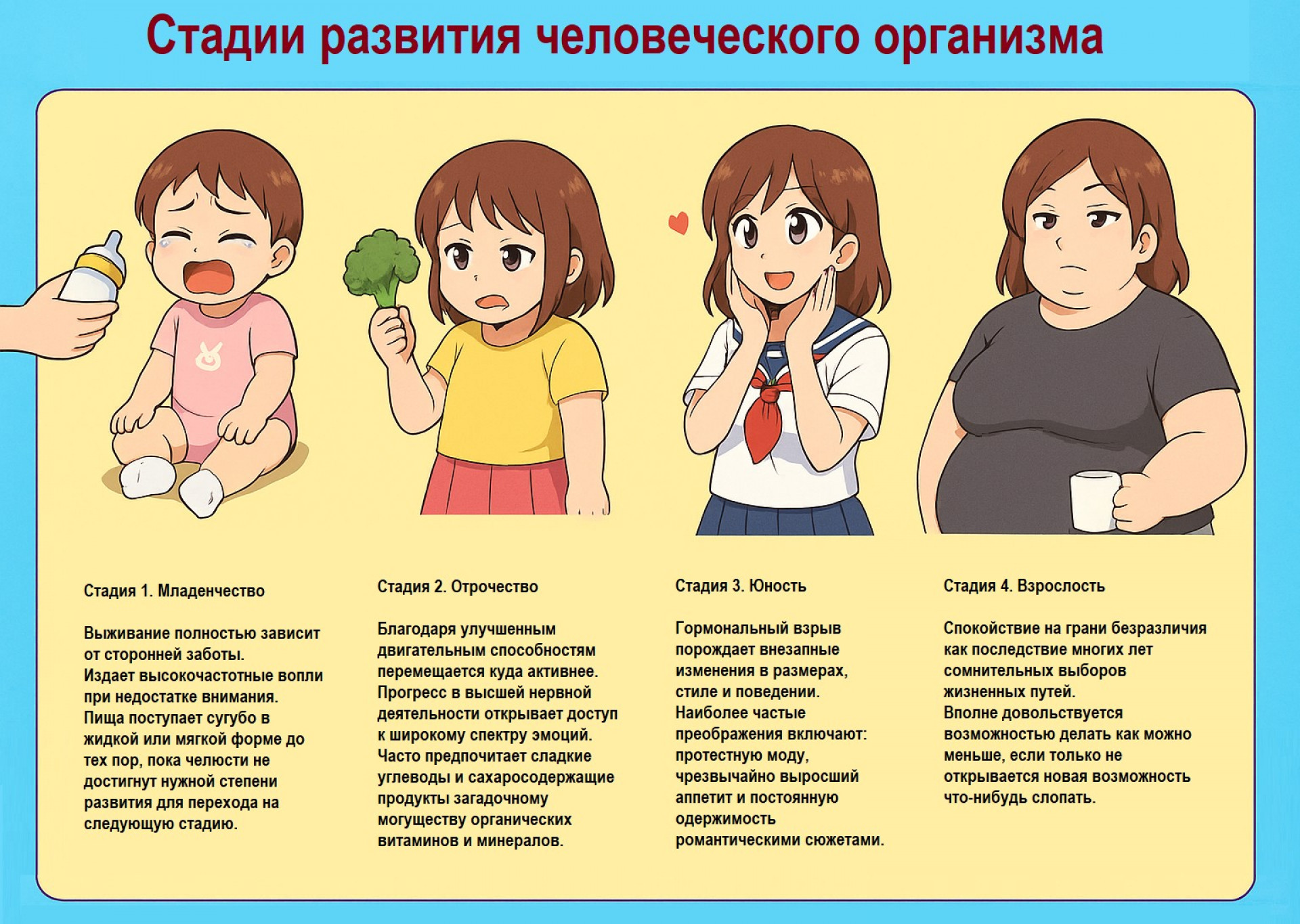 Развитие человеческого организма