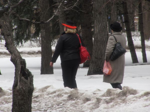 И даже пень в апрельский день.JPG