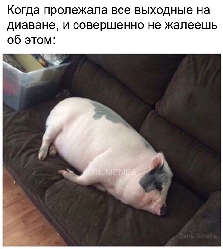 Выходные